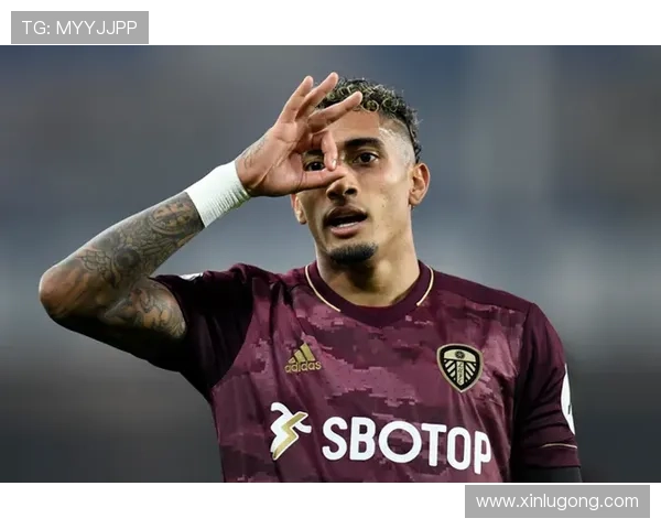 富勒姆足球俱乐部：英超赛场上的黑马与历史沉淀的结合