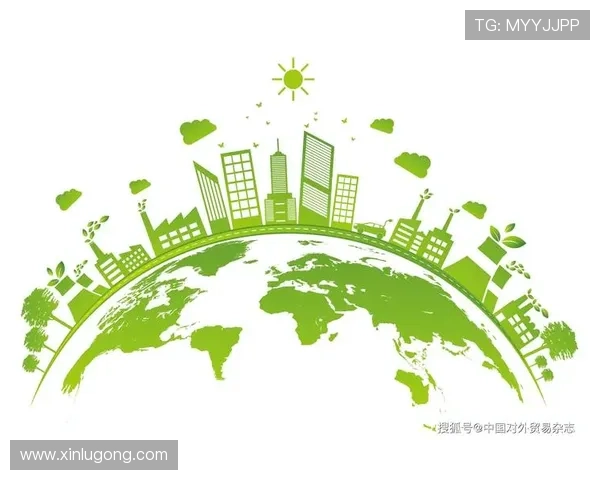 围绕森林狼俱乐部探析球队发展战略与未来竞争力提升路径分析研究