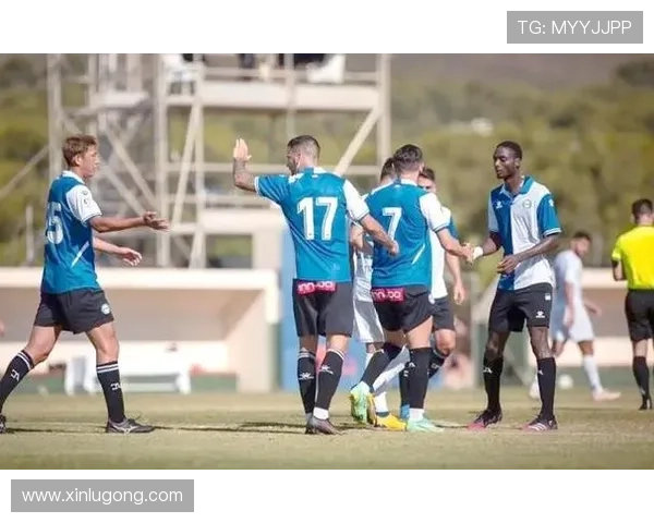 西甲联赛最新排名分析：各队实力对比与赛季前景展望